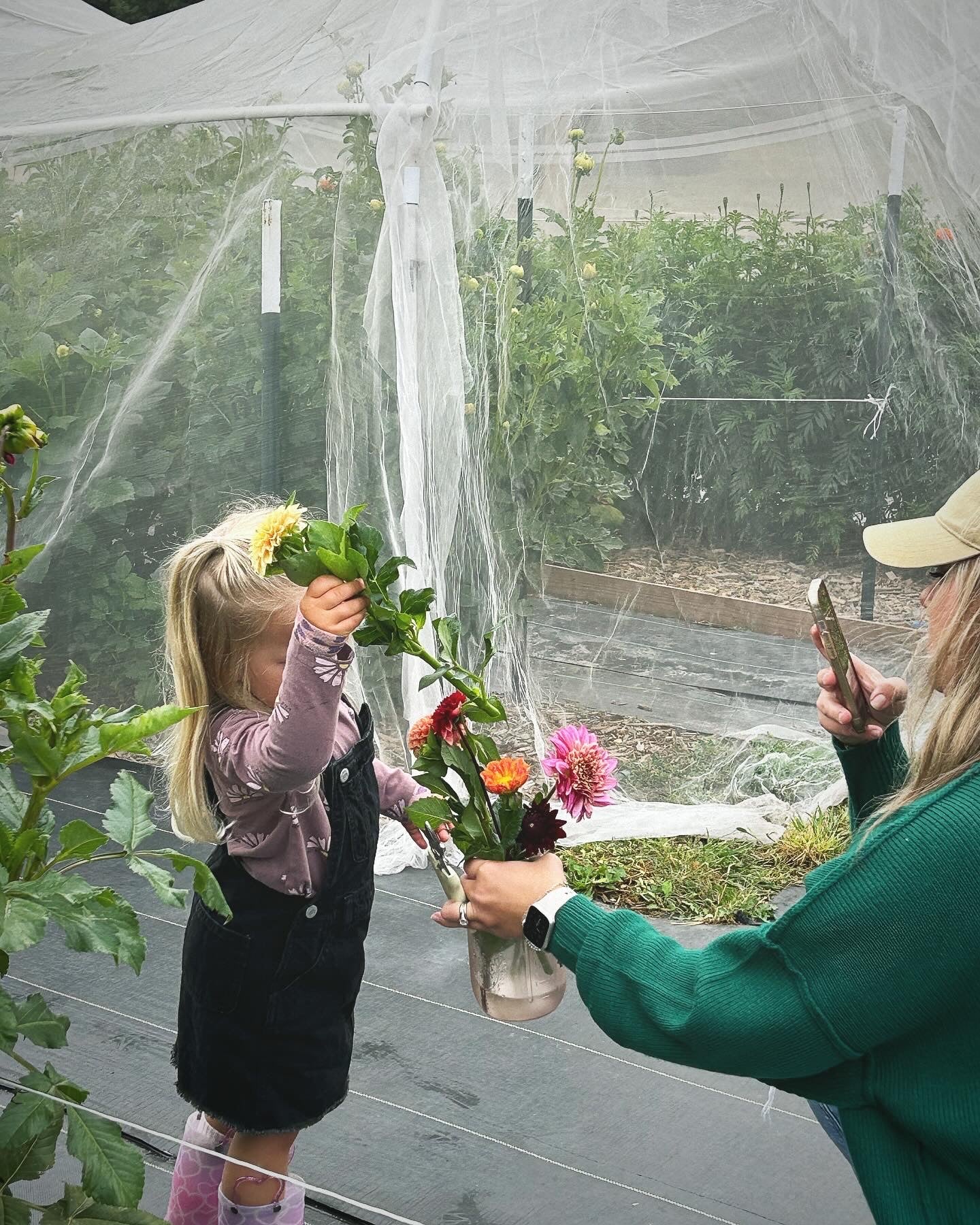A child places flowers in a vase held by an adult, while the adult takes a photo. They are in a garden with protective netting over the plants.