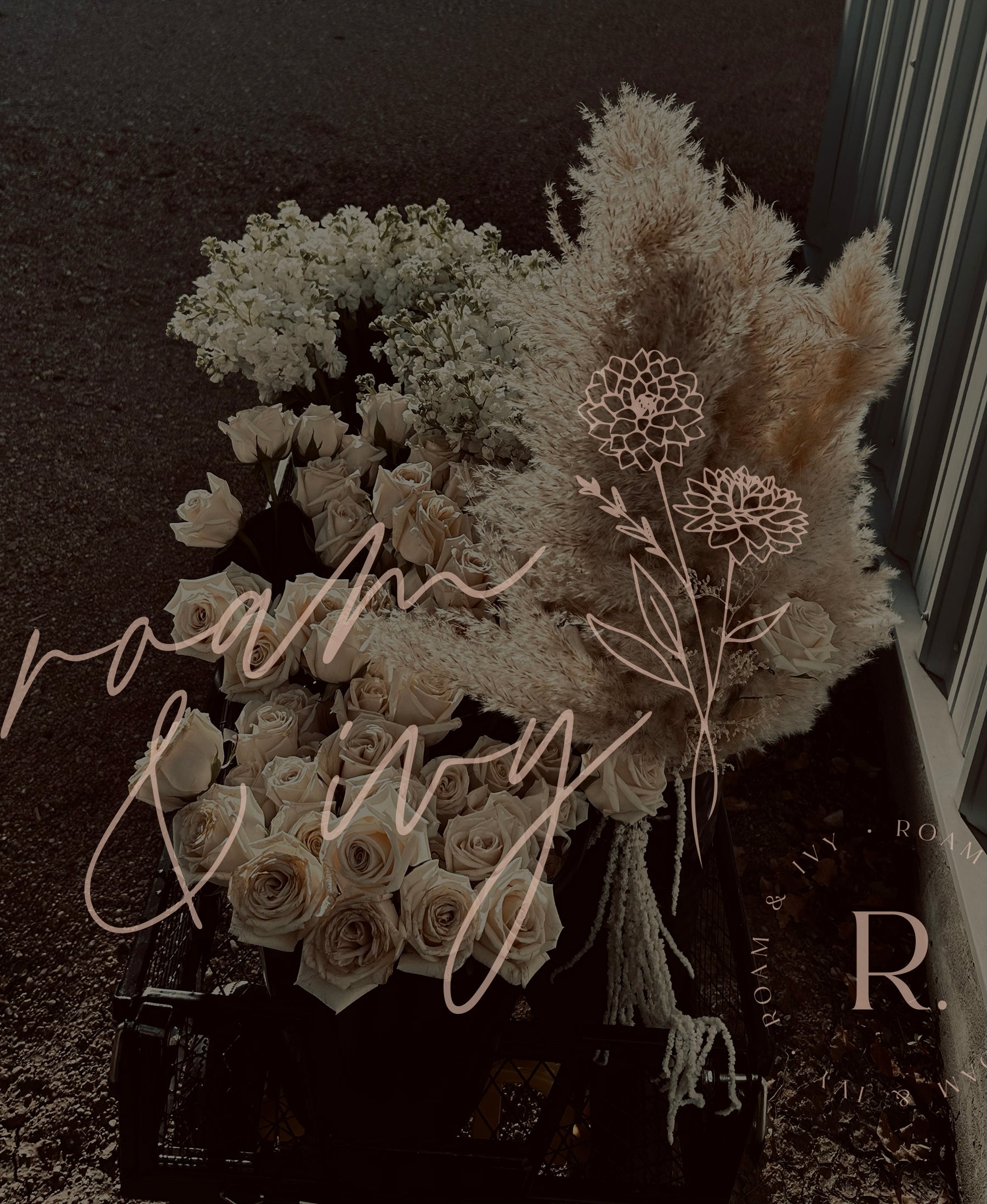 A dark crate filled with white roses, hydrangeas, and pampas grass, with "roam & ivy" and floral illustrations overlaid.