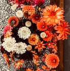 Roam & Ivy Flowers presents The Gypsy Dahlia Tubers, a whimsical arrangement blending vibrant orange, white, and pink flowers against an earthy textured gravel surface.