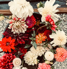 The Gypsy Dahlia Tubers by Roam & Ivy Flowers present a vivid mix of red, white, pink, orange, and cream blooms in a container against an earthy gravel backdrop, embodying garden-inspired whimsy.